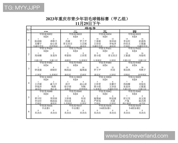 重庆羽毛球队配合表现分析及其对比赛成绩的影响探讨