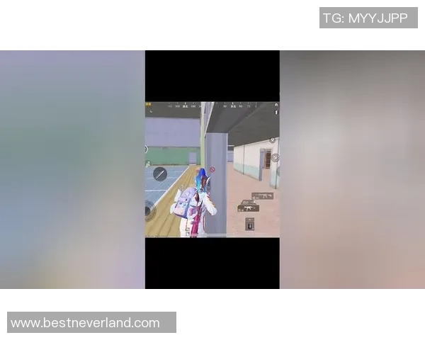 和平精英纪实：记录LNG的转型之路