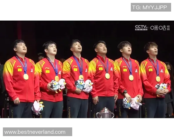 乒乓球纪实:记录武汉乒乓球队的奋斗经历 乒乓球纪实:记录武汉乒乓球队的奋斗经历