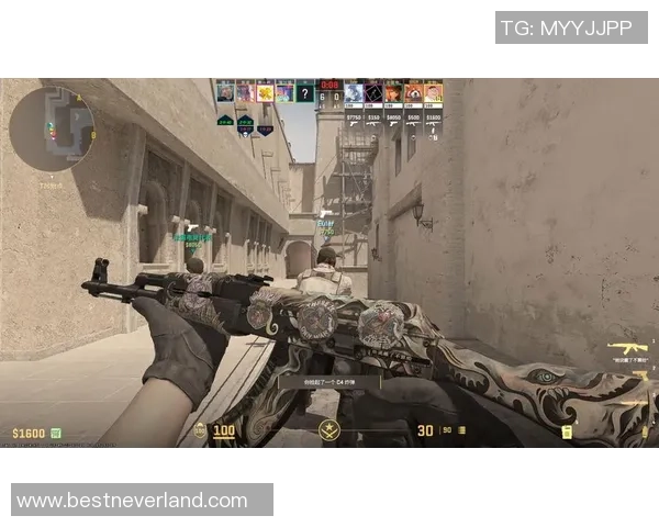 CS_GO评论:TES的整体压制得失 CS_GO评论:TES的整体压制得失